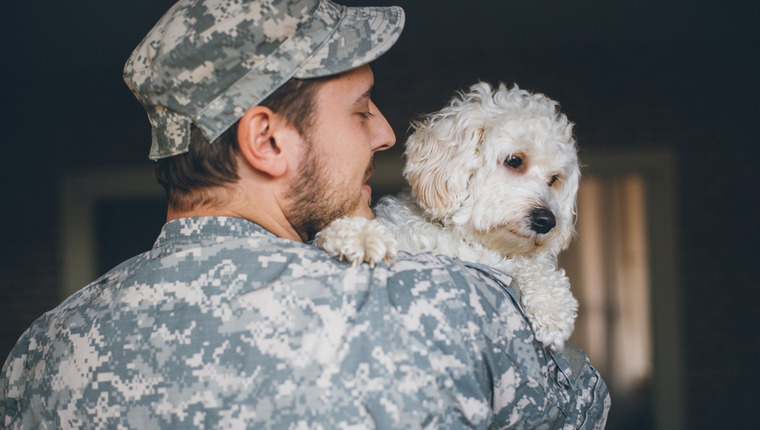 a veteran holding his support dog