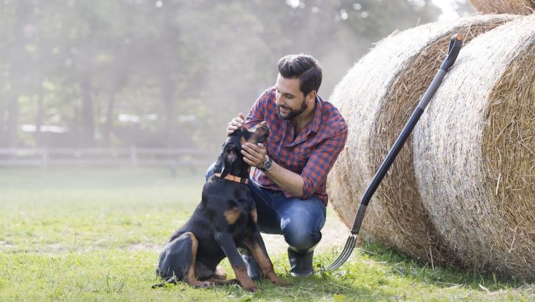 farmer with best dog breeds for homestead