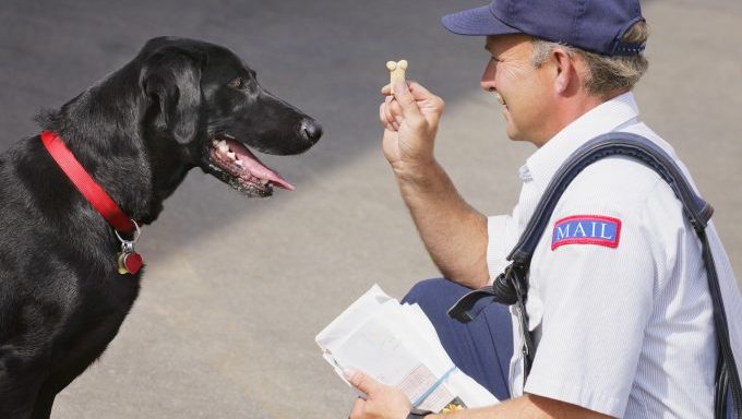 mail carrier with dog pepper-sprayed
