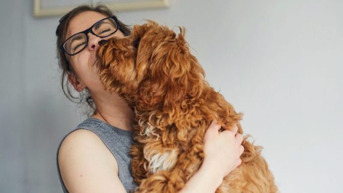 woman hugging dog why the WSJ is wrong about dogs