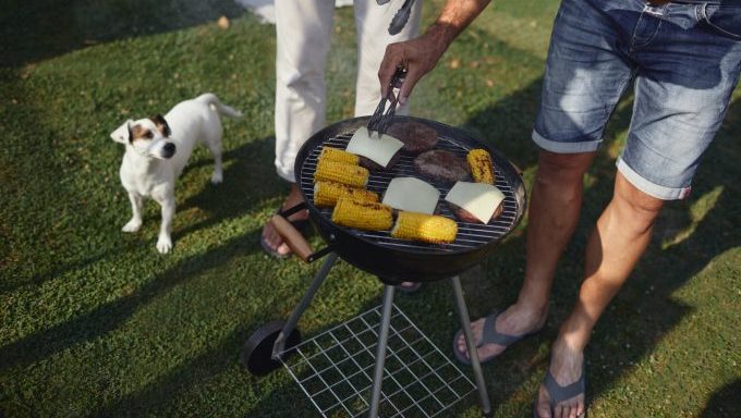 dog looking at grill how to keep your dog safe at barbecues