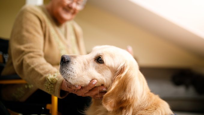 emotional therapy dog with senior citizen