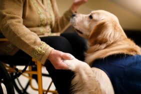 emotional therapy dog and senior citizen