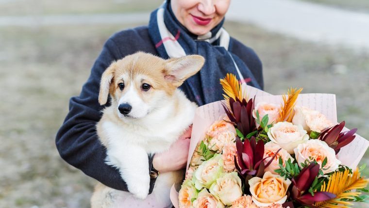 woman with dog and dog-safe flowers for mother's day