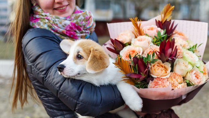 woman holding dog and bouquet of dog-safe flowers