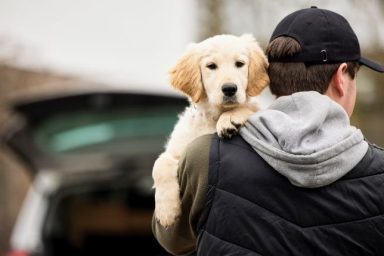 man steals emotional support dog