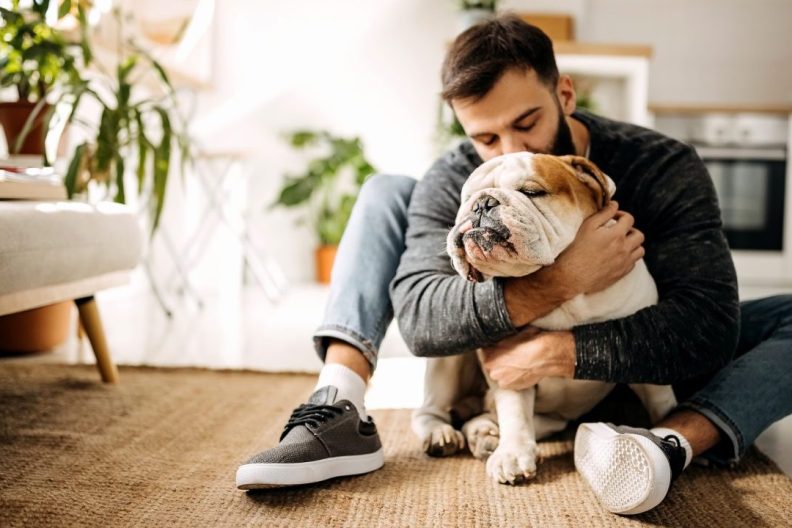 How to Find the Perfect Dog-Friendly Condo