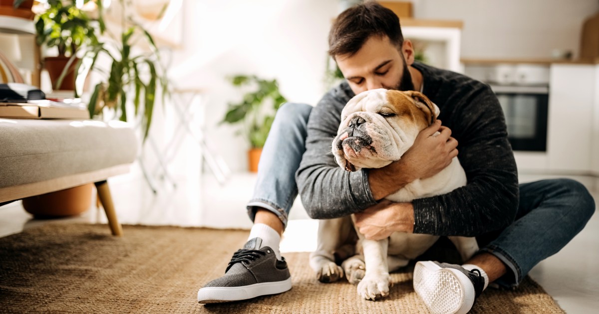 How To Find the Perfect DogFriendly Condo