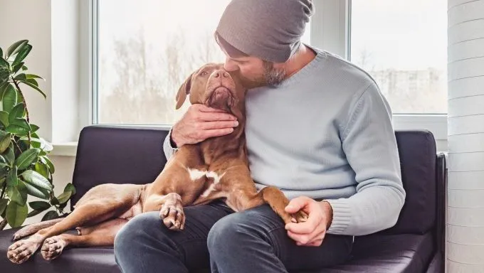 man kissing dog why people surrender dogs