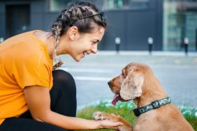 woman shaking hands with dog sitting