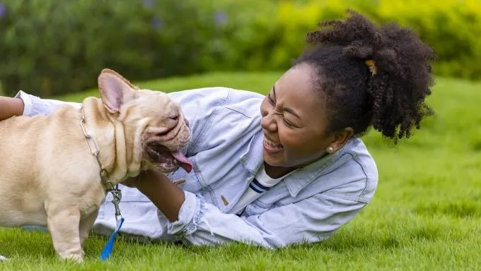 woman smiling with French bulldog best time to become a dog owner