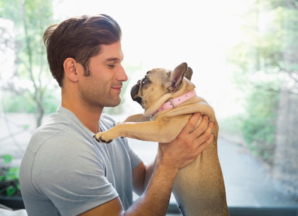 Young man holding pug celebrating dog dads on father's day
