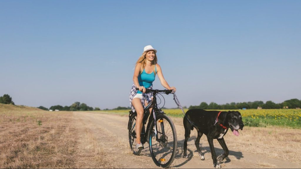 Woman riding bike with dog on leash biking with dogs