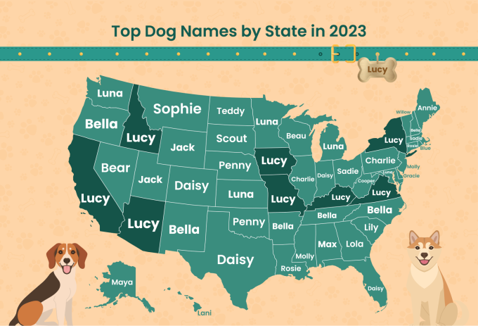 map of top dog names in every state