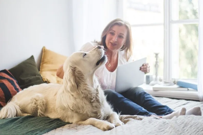 senior woman petting and talking to golden retriever what your dog would say if they could talk