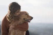 Large dog breed golden retriever being hugged by human companion with blurry skyline background.