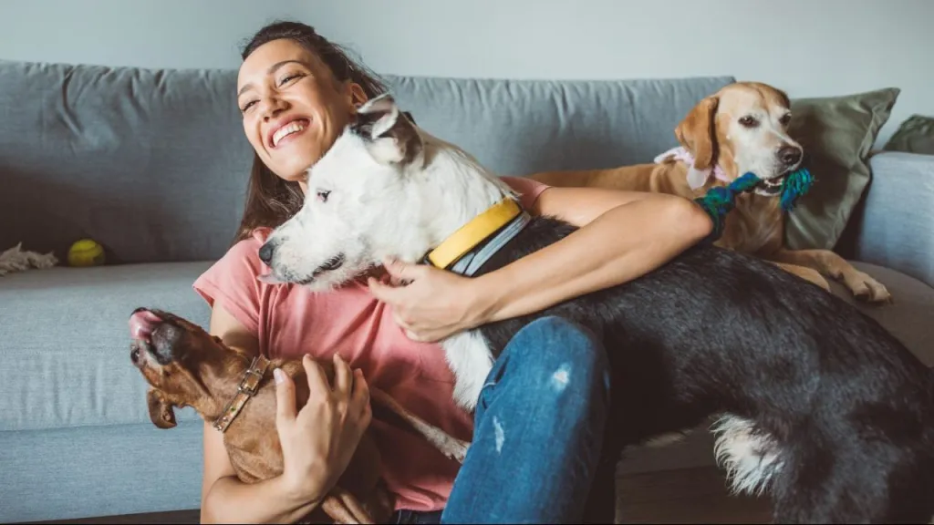 young female pet sitter hugging dogs how to prepare for pet sitter