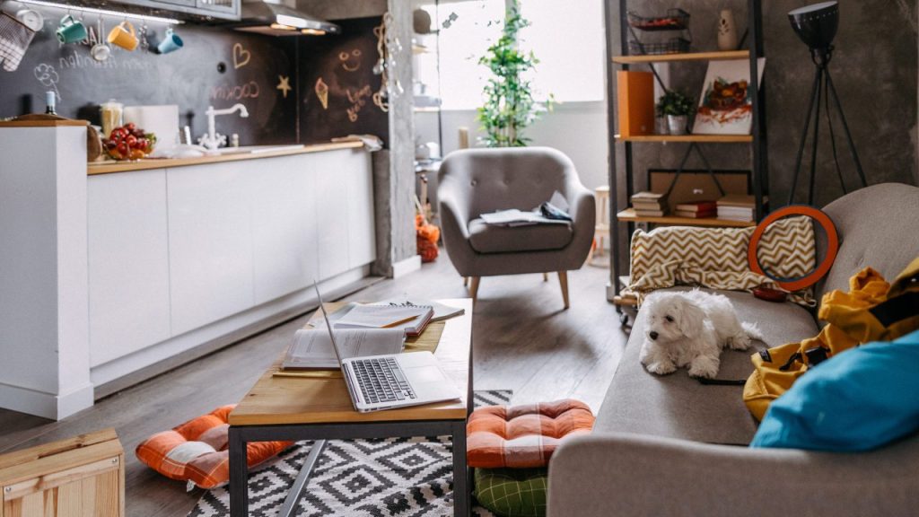 A tiny, well-adorned apartment in which a white Maltese dog is sitting on the sofa is shown.