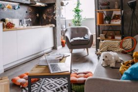 A tiny, well-adorned apartment in which a white Maltese — one of the best apartment friendly dog breeds — is sitting on the sofa.