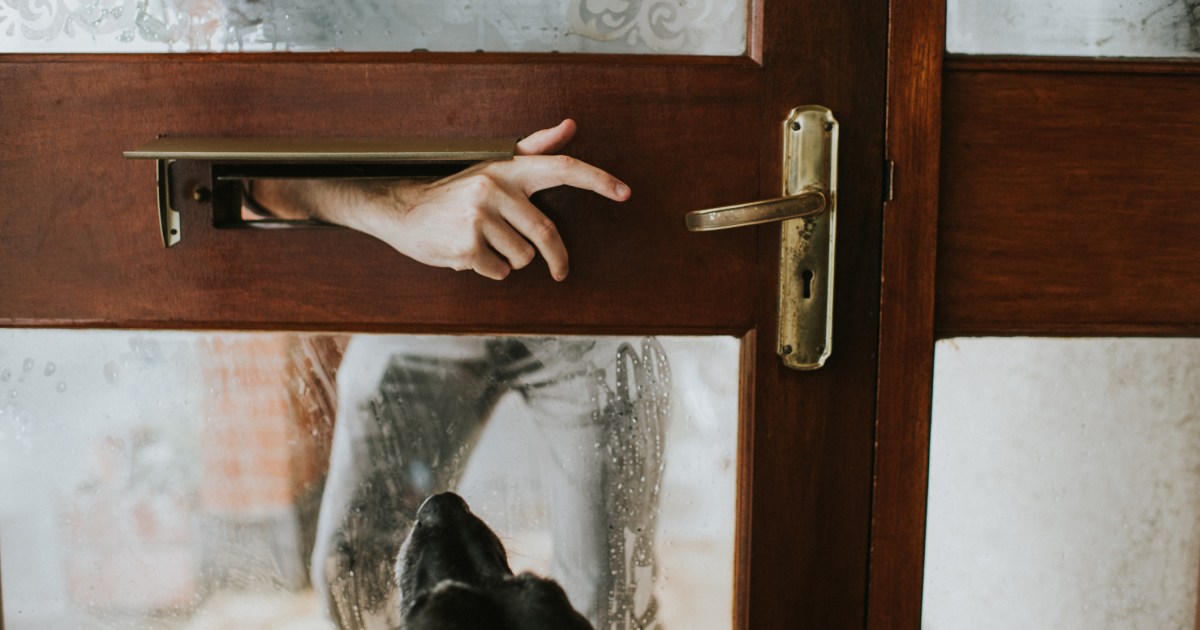 Burglars Spray Influencer’s Dog With Mace