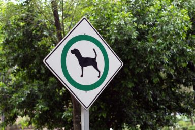 Dog sign at park.