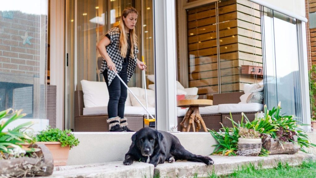 woman cleaning home near dog in yard where to put dog when housecleaners come