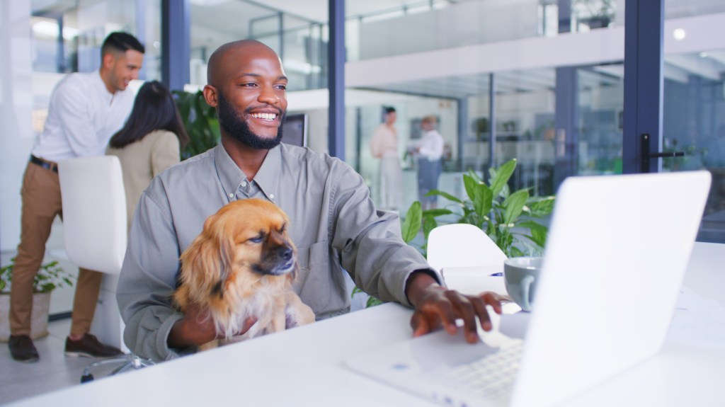 Dog working at computer