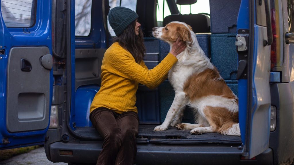woman transporting dog in van as an animal rescue transporter