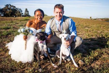 happy bride and groom include dog in wedding