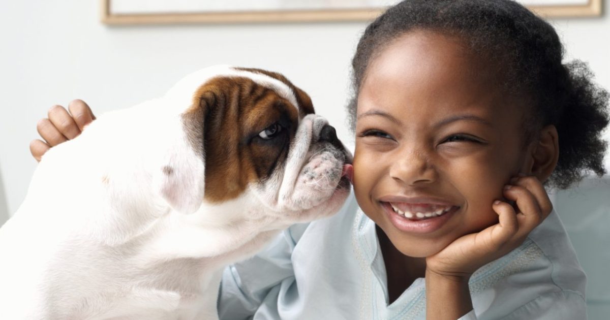 Benefits of Dog Ownership for Kids DogTime