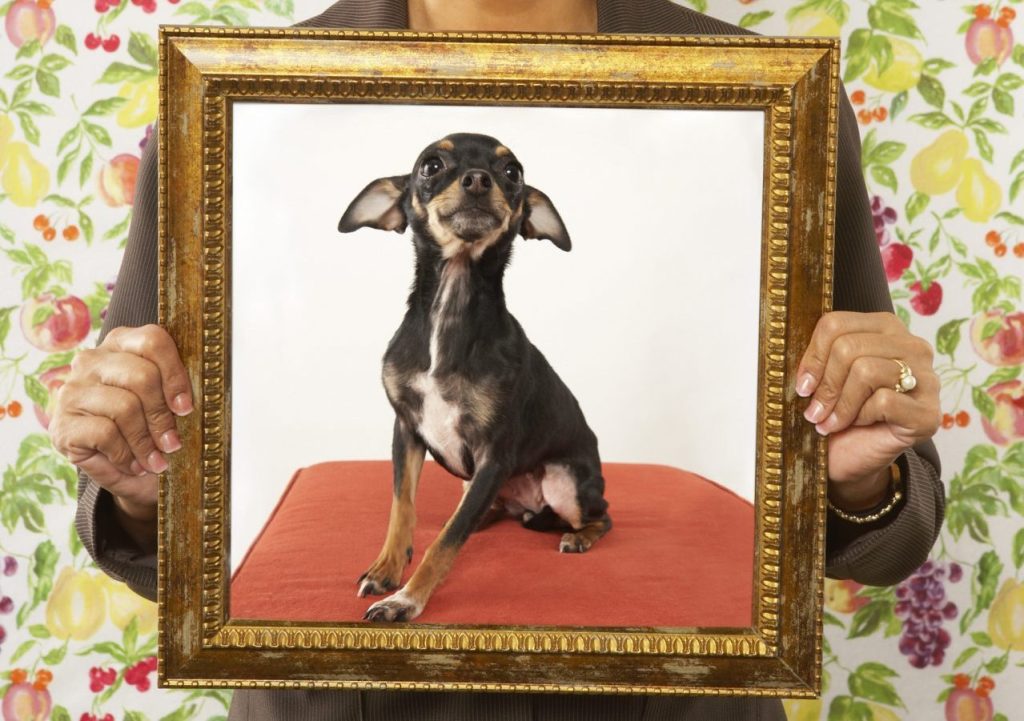 Woman holding brass frame of a custom portrait of small black dog sitting on a cushion. Background of image is flowered wallpaper.