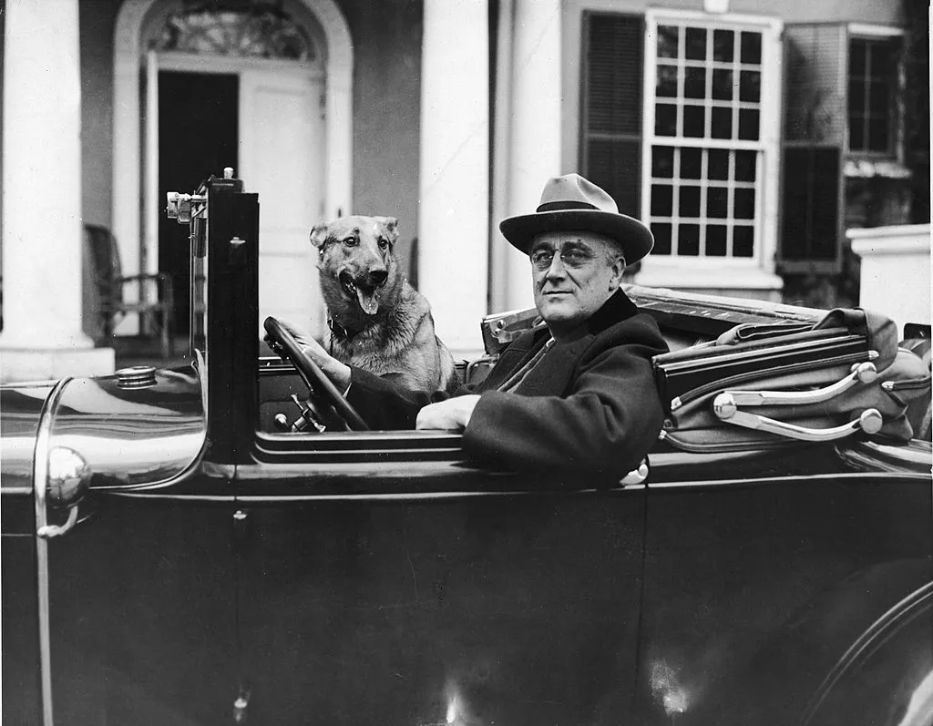 Portrait of American President Franklin Delano Roosevelt (1882 - 1945) as he sits behind the wheel of his car outside of his home in Hyde Park, New York, mid 1930s
