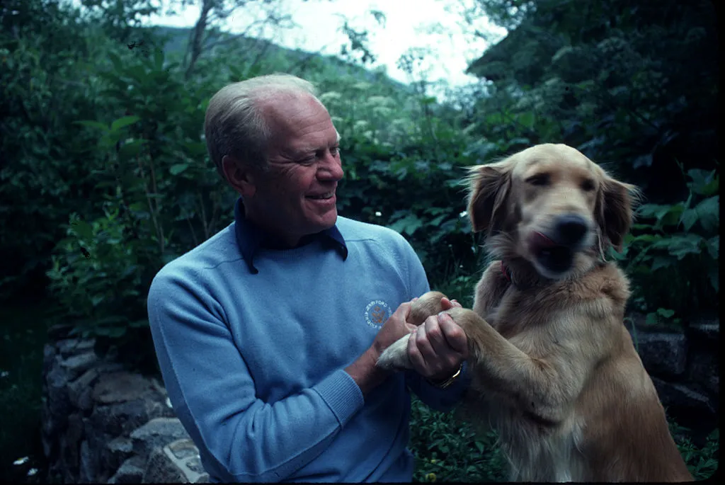Former President Gerald Ford plays with his dog Misty February 5, 1987 at his home in Rancho Mirage, CA. Misty was born in 1976 on the third floor of the White House.
