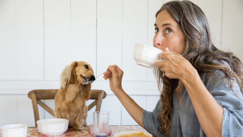 woman feeding dog from table common mistakes dog parents make