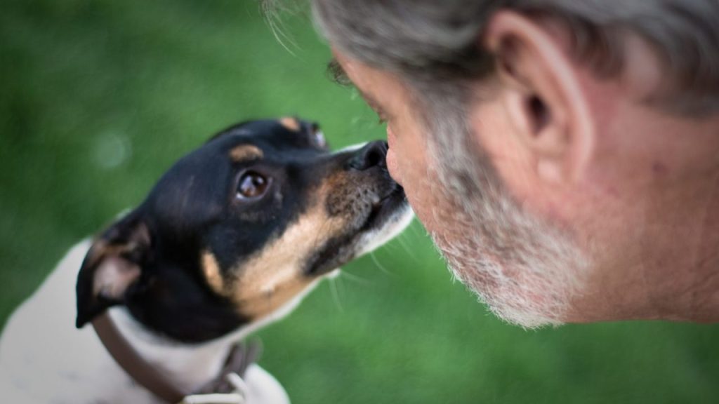 man and dog reunited, touching noses