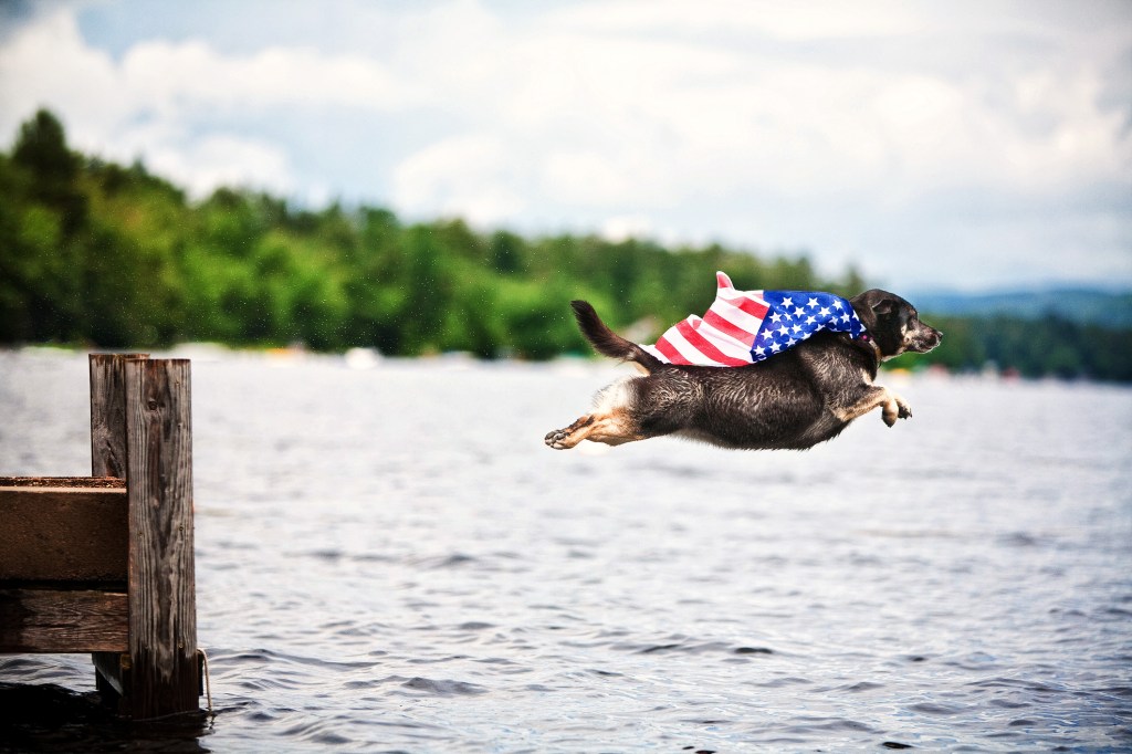 Mixed breed dog soars over the water proudly wearing the American flag as a cape