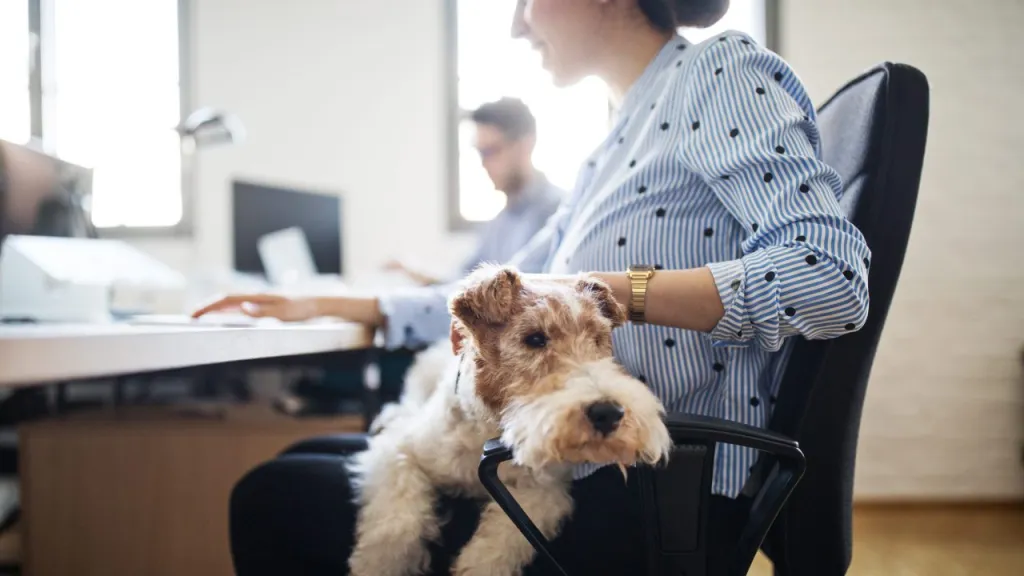 Dogs offer many workplace benefits.