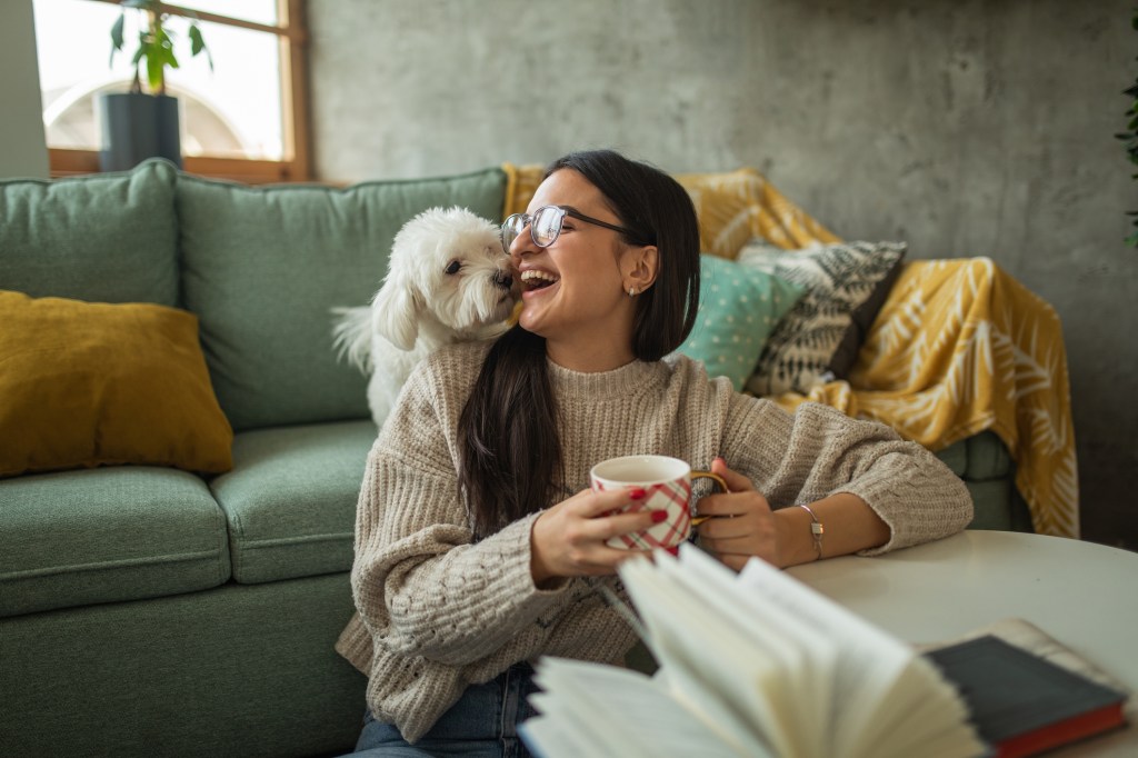 Young woman drinking tea while playing with her Bichon Frise — one of the best small dogs for apartment living — at home.