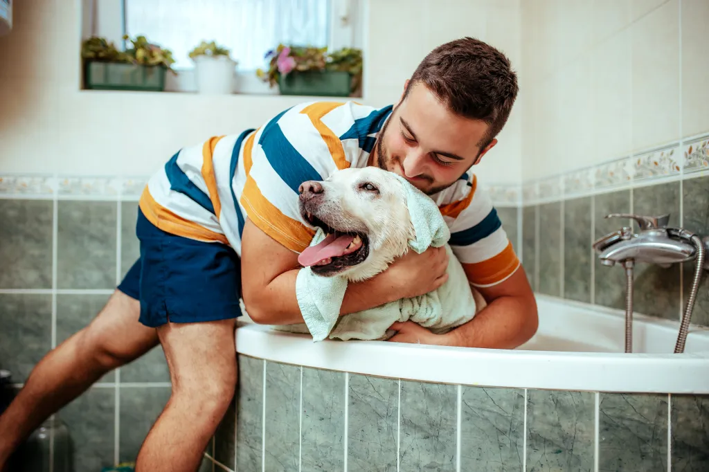 man in striped shirt bathing dog in bathtub