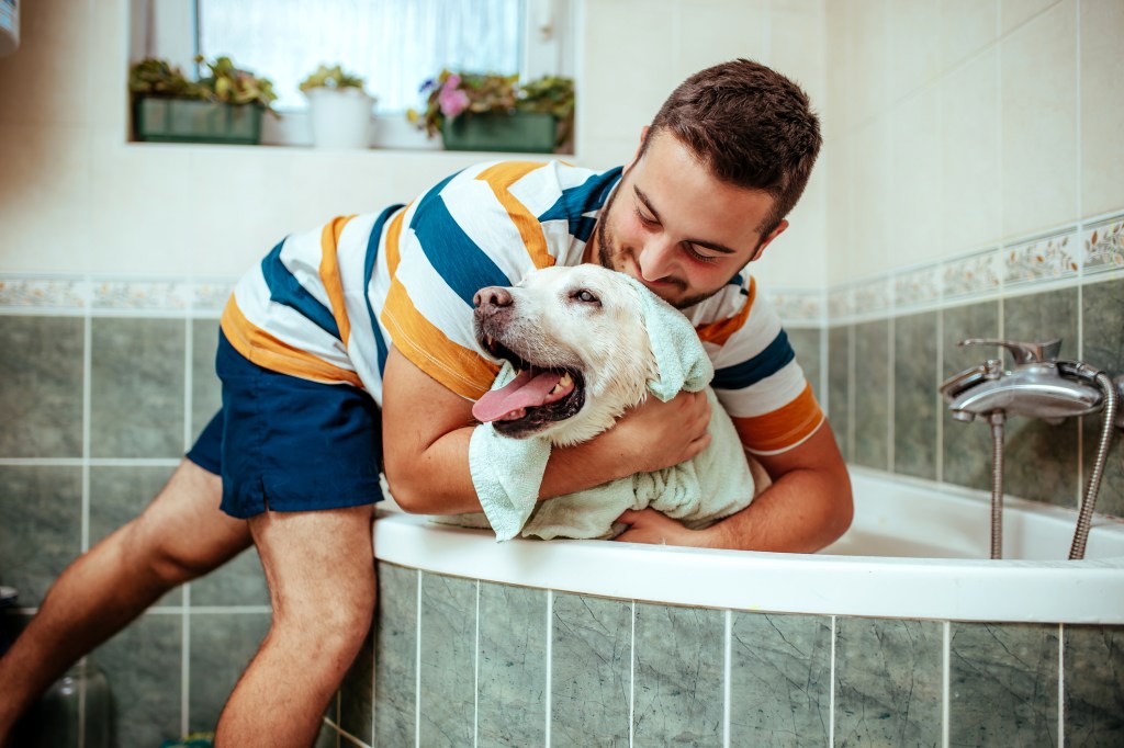 Everything You Need to Know About a Home Dog Bath Tub