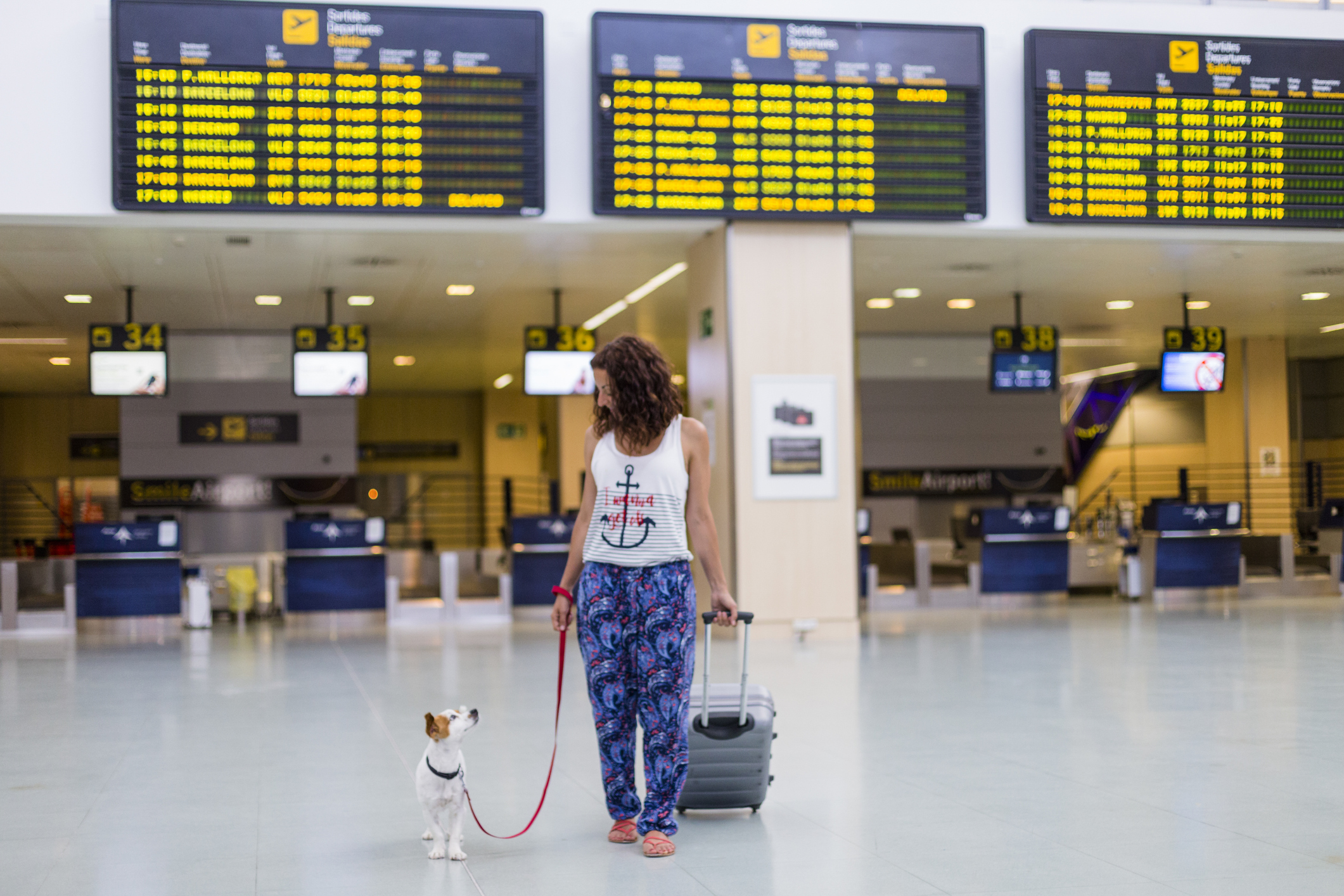 Cost to Fly Your Dog