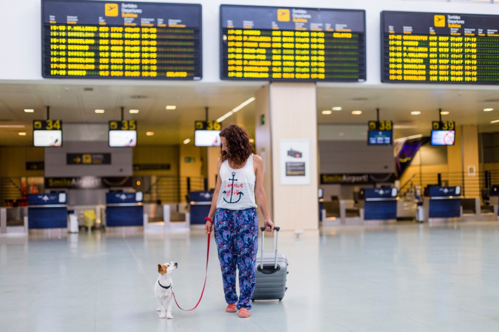 Woman in an airport. She is rolling her suitcase with one hand and holding a red dog leash attached to a small dog in the other.