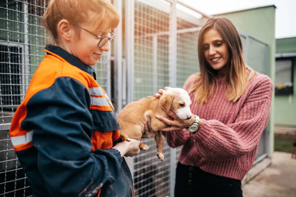 Shelter employee holding a puppy for a woman in a pink sweater to meet in front of the kennel cages.