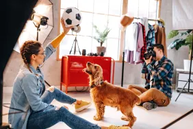 Cocker Spaniel dog doing photo shoot with pet photographer in a studio. Dog owner is holding a soccer ball for dog to focus on.