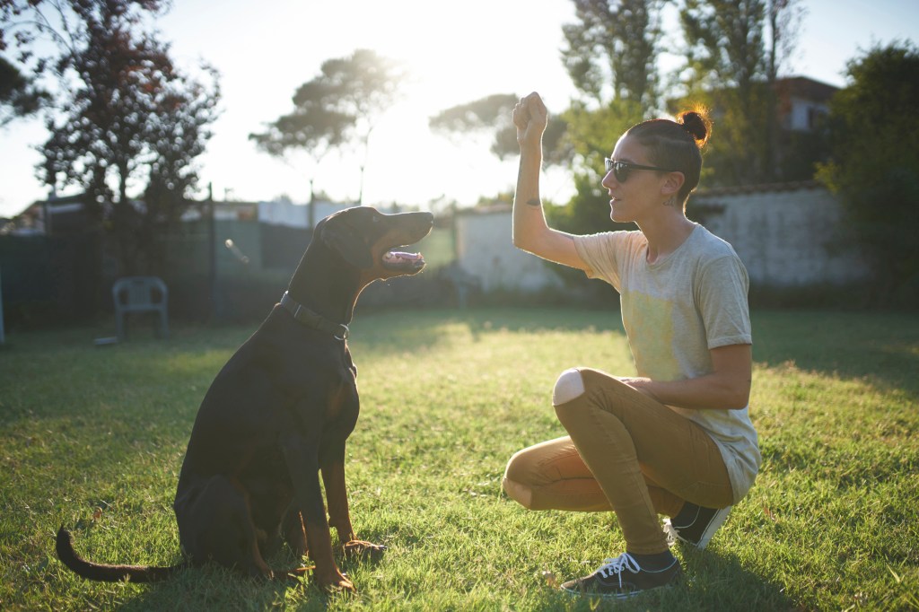 woman training dog in back yard