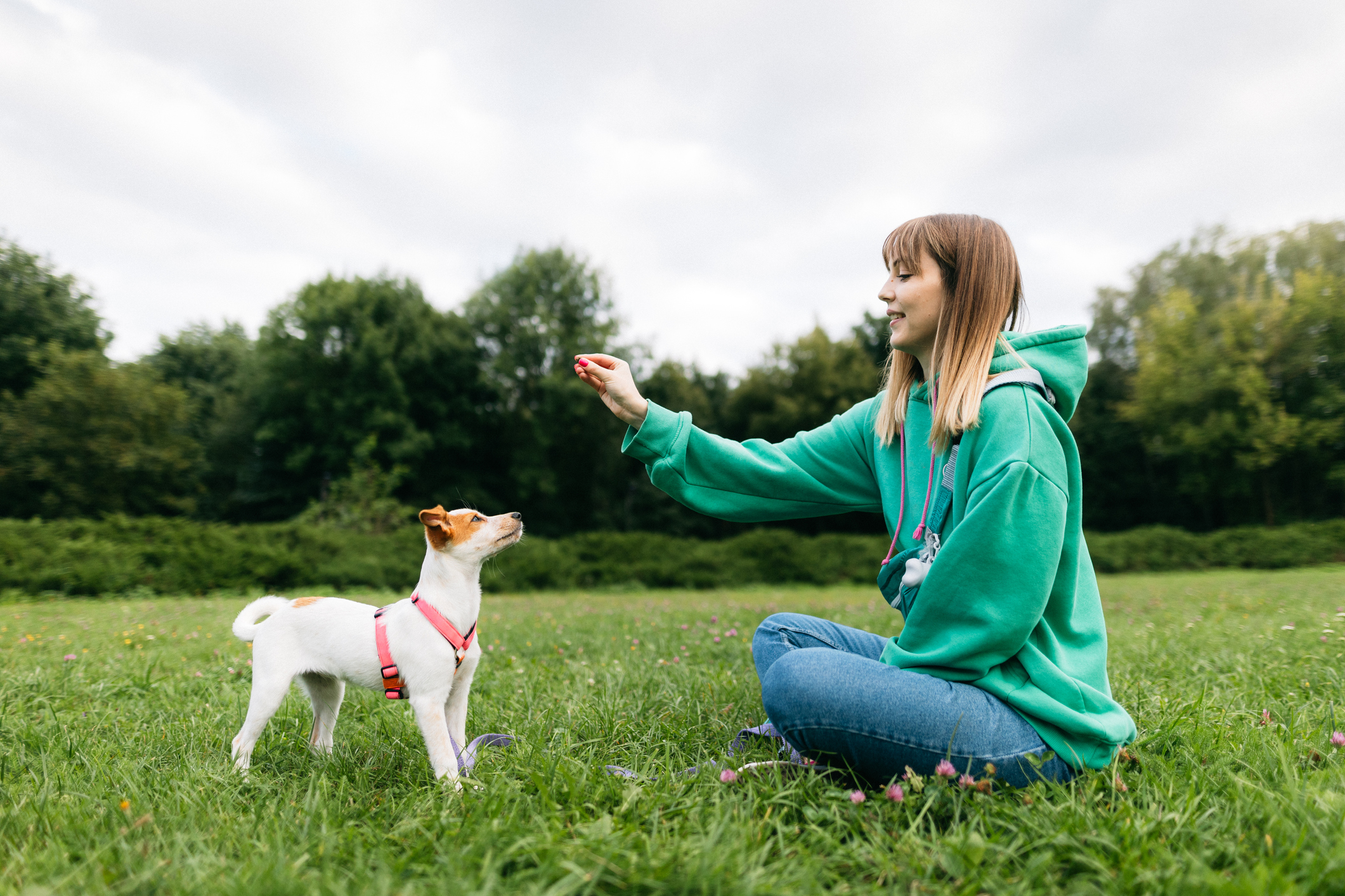 The Complete Guide to Raising a Puppy