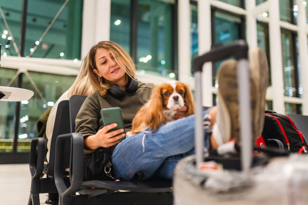 Blonde woman wearing a hooded sweatshirt and jeans, sitting in an airport, her feet resting on her luggage, as she holds her tiny dog in her lap.