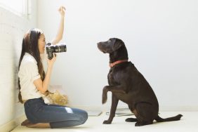 Pet photographer taking photos of dog in a white studio
