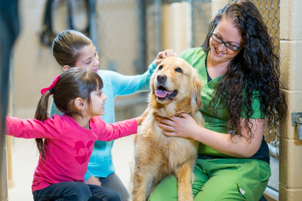 The Day After July 4th Is the Busiest Day of the Year for US Animal ...