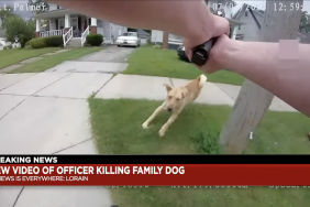 Dog shot in Ohio